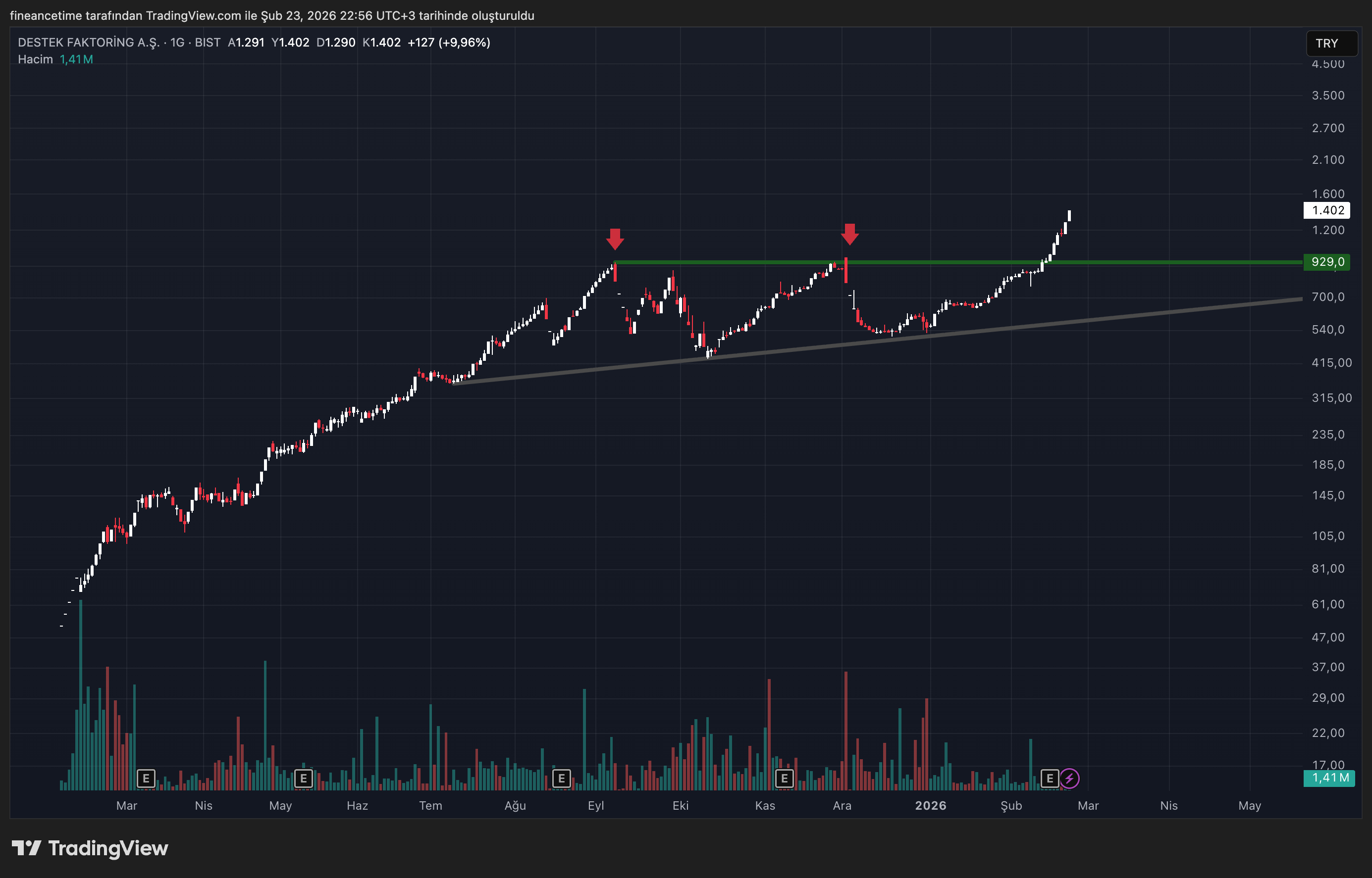 DESTEK FİNANS FAKTORİNG A.Ş Grafik